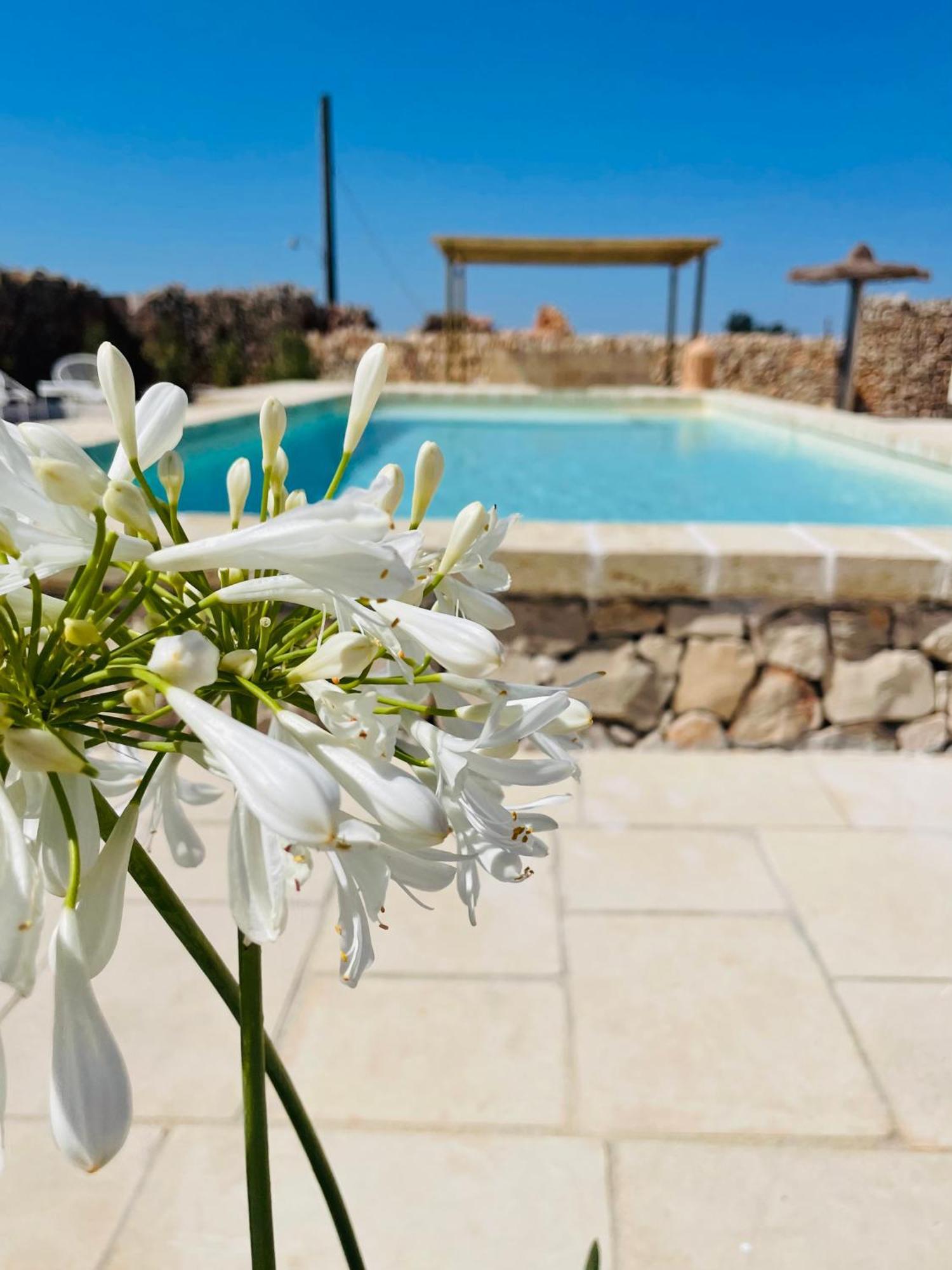 Masseria Voluzzi Copertino Exteriör bild