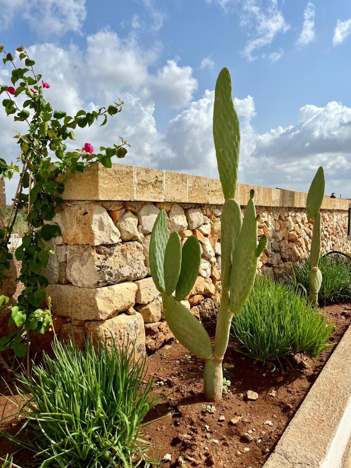 Masseria Voluzzi Copertino Exteriör bild