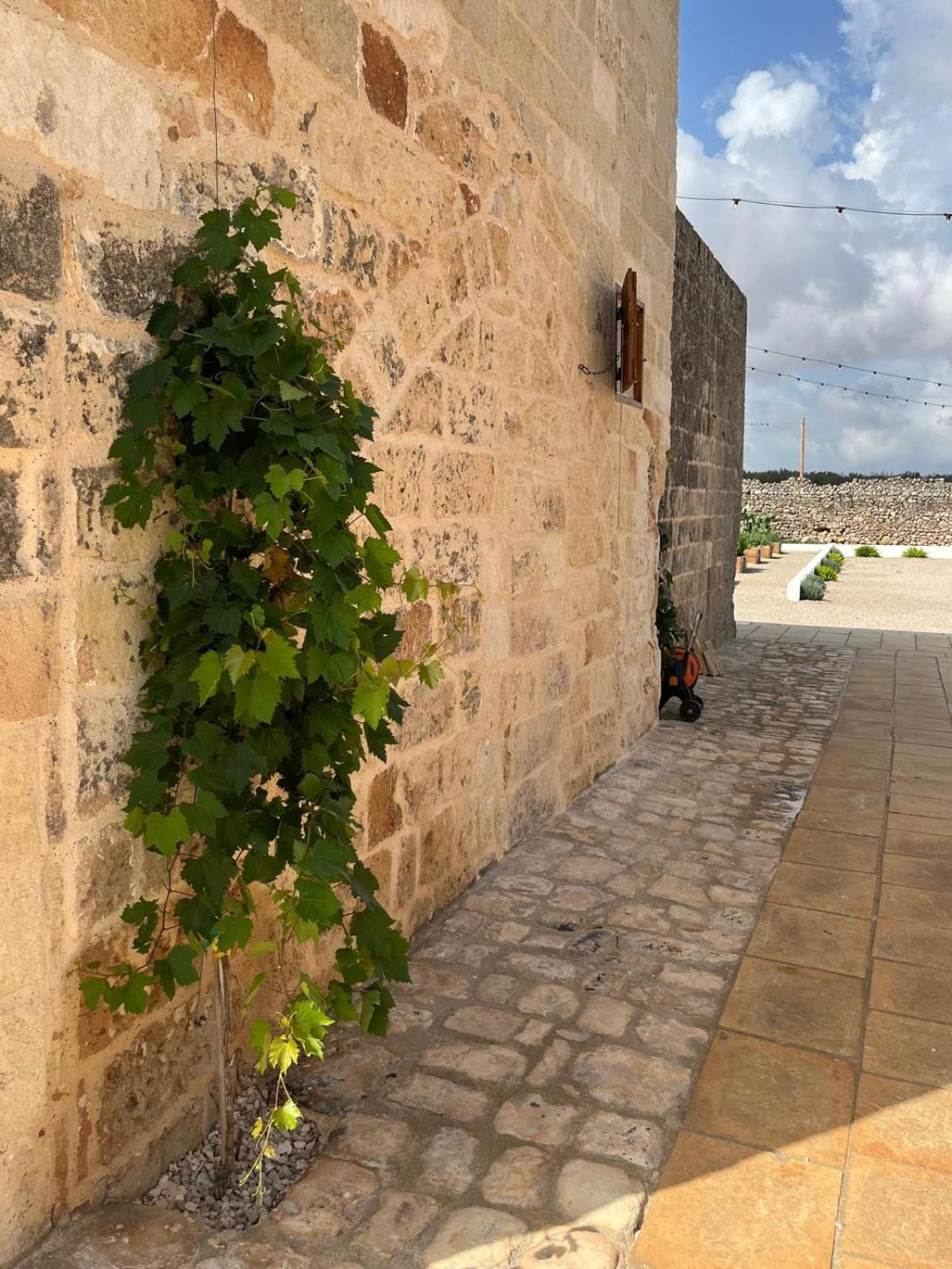 Masseria Voluzzi Copertino Exteriör bild